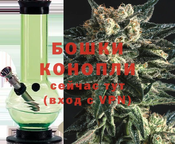 ПСИЛОЦИБИНОВЫЕ ГРИБЫ Козельск