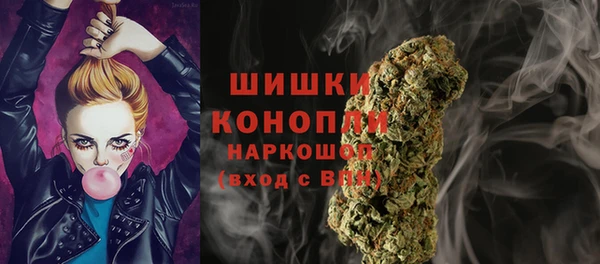 гидра Козловка