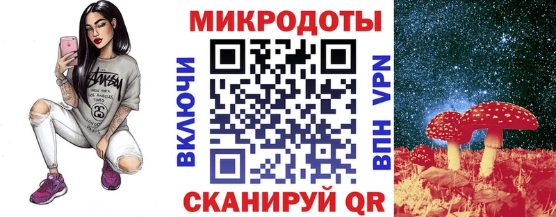Псилоцибиновые грибы Cubensis  Купить закладки  Новосокольники 
