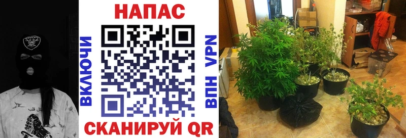 МАРИХУАНА марихуана  Купить  Новосокольники 
